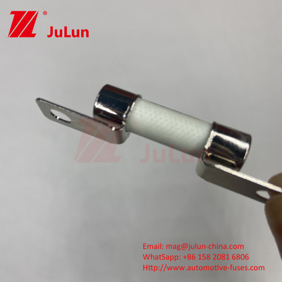 10A-100A EV 볼트형 전기 차량 피지 4. EV325 3EL DC750V 10A 15A 20A 진동에 뛰어난 저항성