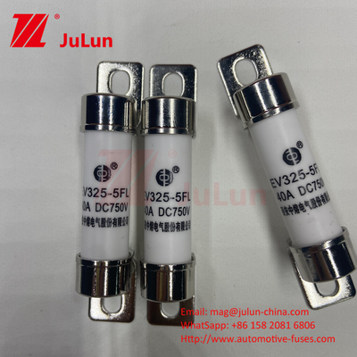 전기차용 자동차 배터리 충전기 ISO 인증 전력 변환 15A 30A 25A 750VDC 14x51 50A EV 퓨즈