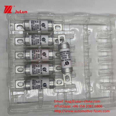 전기 차량 피지 RS308 DC750V 10A 15A 20A 진동에 뛰어난 저항성 63A