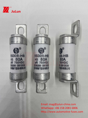 전기 차량 피지 RS308 DC750V 10A 15A 20A 진동에 뛰어난 저항성 63A