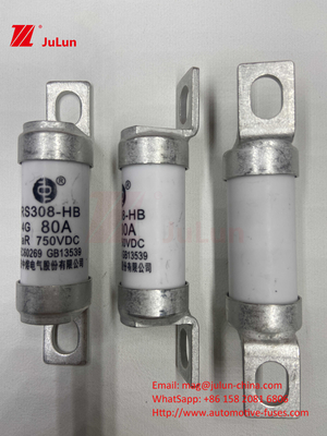 전기 차량 피지 RS308 DC750V 10A 15A 20A 진동에 뛰어난 저항성 63A