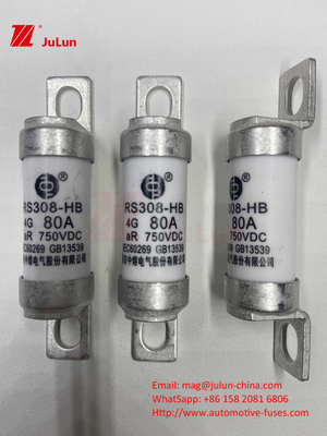EV RS308 퓨즈 기계 충전 25A 30A 40A 50A 세라믹 구리 등급 전압 DC750V 전기 자동차용 가정용 EV 충전기