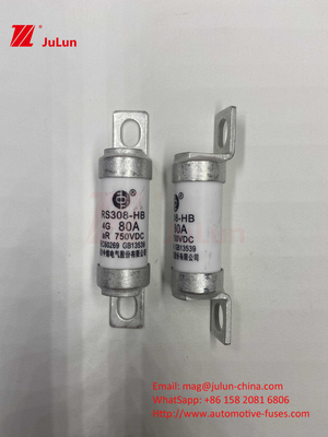 M6 EV 퓨즈 보틀드 세라믹 EV 충전기 750VDC 퓨즈 화학 부하 및 고온 40A 50A RS308