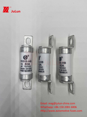 M6 EV 퓨즈 보틀드 세라믹 EV 충전기 750VDC 퓨즈 화학 부하 및 고온 40A 50A RS308