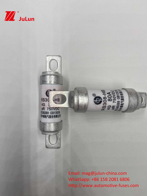 100A80A 750VDC 에너지 저장 장치 10A 25A 30A 50AEV 전압 전기 견인 시스템을 위한 스마트 보호 장치와 함께 마이크로 퓨즈