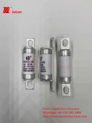 전기 차량 피지 트랙션 시스템 에너지 저장 및 올티드 750VDC 25A 30A 40A 50A RS308 HB EV