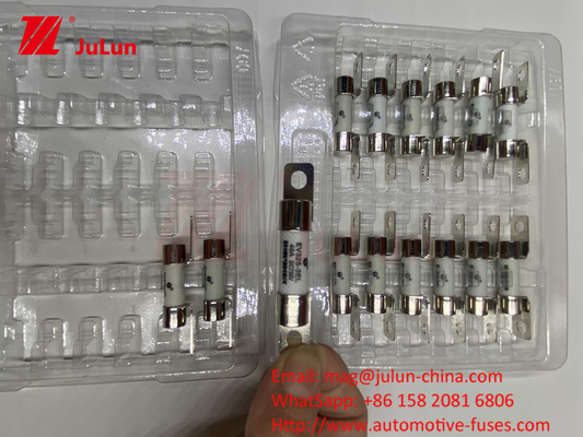 전기차 퓨즈 환경 신뢰성 ISO8820, JASO D622 및 GB/T31465 30A 40A 50A 80A 750VDC