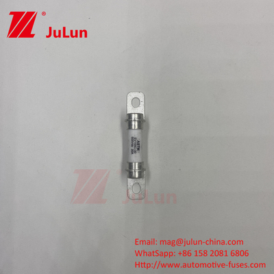 3EV 퓨즈 표준 UL248-20에 대한 설계 EV 퓨즈 50A 40A 500VDC에 참조
