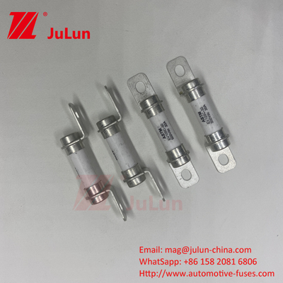 5A 10A15A 20A 30A 하이브리드 자동차 퓨즈 20A 30A 40A 에너지 저장 시스템 전기 드라이브 500VDC