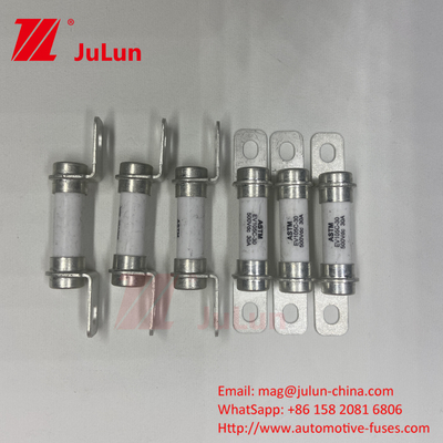 퓨즈 우수한 DC 분쇄 능력 20A500VDC 순수 전기 차량