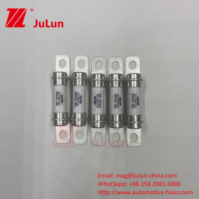 배터리 에너지 저장 시스템 피지 피지 DC 30A 50A 순수 전기 차량 500VDC