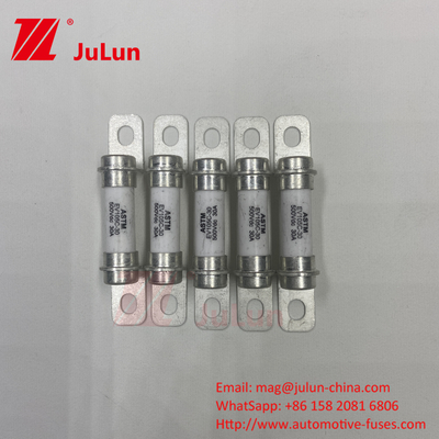 30A 하이브리드 차량 500VDC 피지 볼트 M6 DC 자동차 장치 및 장비 단회로 및 백업