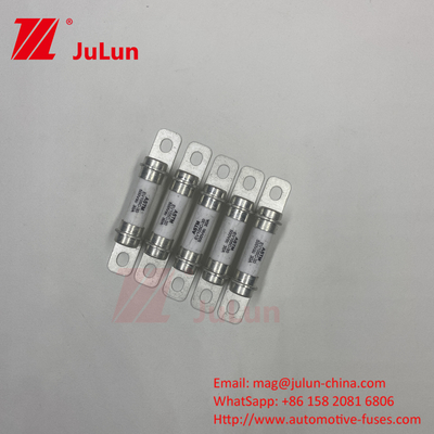 M6 볼트 홈 에브 충전기 30A 40A 볼트 M6 자동차 고품질 5A 500VDC 피지
