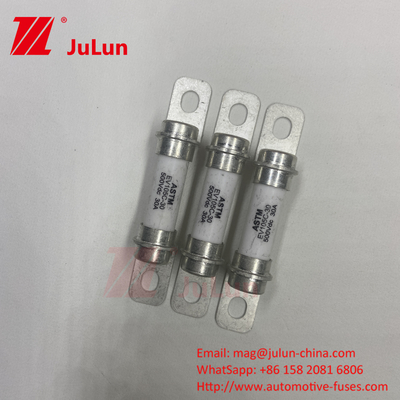 EV 퓨즈 표준 UL248-10A 20A 50A 40A 퓨즈 에너지 저장 시스템 500VDC 높은 파기