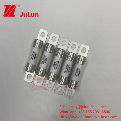 EV 퓨즈 표준 UL248-10A 20A 50A 40A 퓨즈 에너지 저장 시스템 500VDC 높은 파기