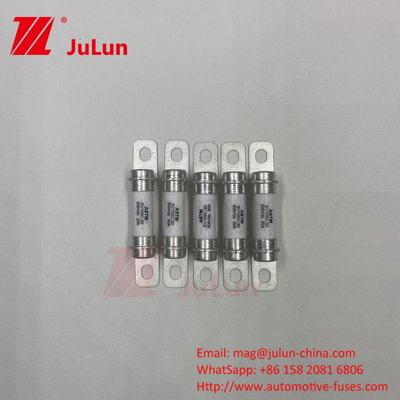 EV 퓨즈 표준 UL248-10A 20A 50A 40A 퓨즈 에너지 저장 시스템 500VDC 높은 파기