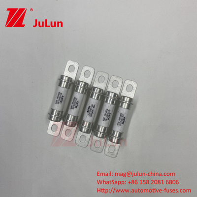 퓨즈 에너지 저장 시스템 500VDC 높은 브레이크 볼트 연결 빠른 퓨즈 15A 30A 50A 전기 차량 전력 변환 시스템
