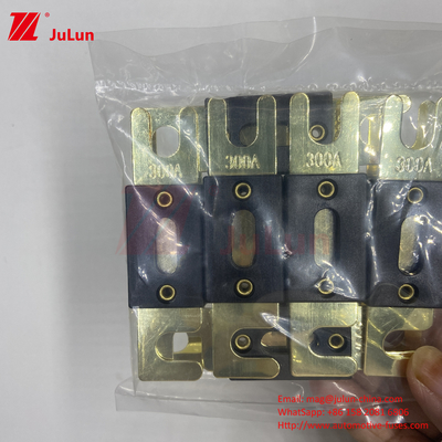2포크 볼트 AGU 퓨즈 200A/ANL 포크 볼트 퓨즈 플릿 퓨즈 자동차 퓨즈 500A