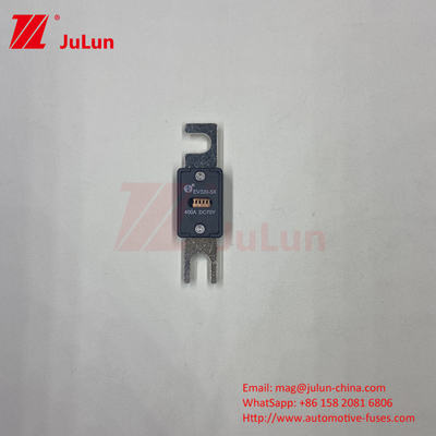 70VDC EV320-5X 등급전압 전기차 안전기 M6 볼트 150A