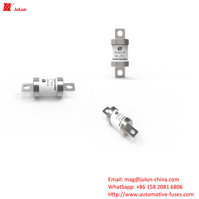 EV315-H EV315-L 3E / 3EB / 3ED 도로 차량 피질 DC500V 10A-50A 전기 자동차 특별