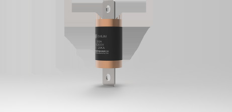 EV8-JM/KM/MKM 전기차 피우스 DC 500V 150A /175A/ 200A /225A /250A/300A/350A/400A/450A/500A/600A/700A/750A/800A/900A/1000A