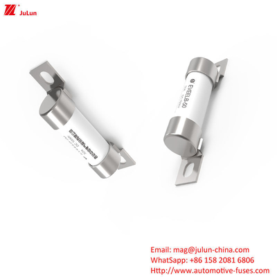 50A 1000V DC 고전압 전기 차량 블레이드 피우