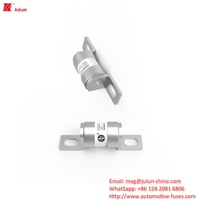 신에너지 차량 16A 20A 25A 32A 35A 40A 50A 63A 180A 250V 30KA의 전기 피지