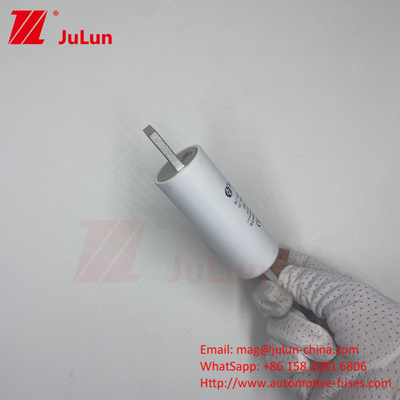 RS309-MM-EV200A 전기차용 1000VDC 1000VAC 맞춤형 EV 볼트 나사 피질