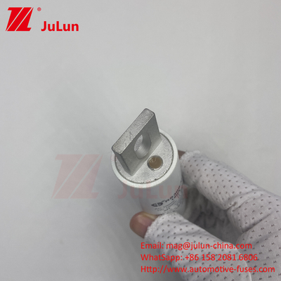 RS309-MM-EV250A 100KA 중전압 전기차 급전전 / Ev Dc 급전기