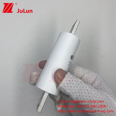 RS309-MM-EV250A 100KA 중전압 전기차 급전전 / Ev Dc 급전기