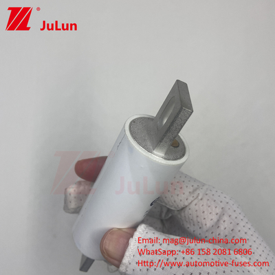 RS309-MM-EV300A 전기차용 고전압 전기 시스템에서 중간 퓨징 AC 1000VDC 1000VAC