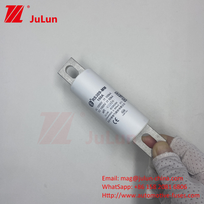 RS309-MM-EV500A1000VDC 50KA 1000VAC 100KA 퓨즈 볼트 스크루 보호