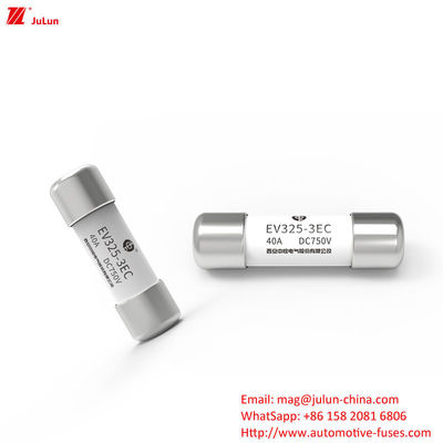 EV 보호 40A 전기 자동차 특수 차량 피지