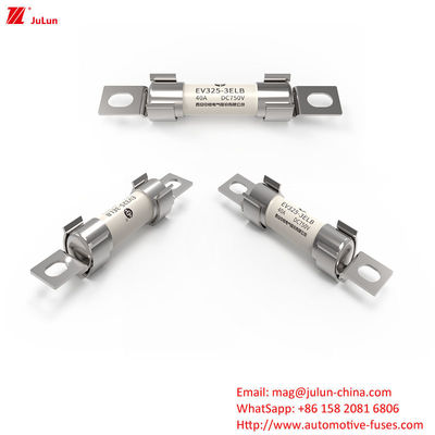 시노 퓨즈 자동차 퓨즈 도로 차량 및 전기 자동차 DC750V 20KA