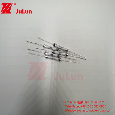HV620 2A 3A 800mA 1000VDC 6x30mm 서보 모터 빠른 작용 세라믹 튜브 피지
