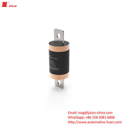 SINOFUSE EV8 전기 차량 급 충전 상자 300A 중형 볼트 나사 자동차 안전 장치