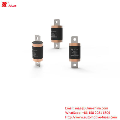 전기차 보호용 150A ~ 300A 전압 EV 피지