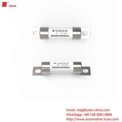 볼트 스크루 보호 EV 휴대용 EV 충전기 피지 휴대용 충전 솔루션 DC1000V 10A-50A