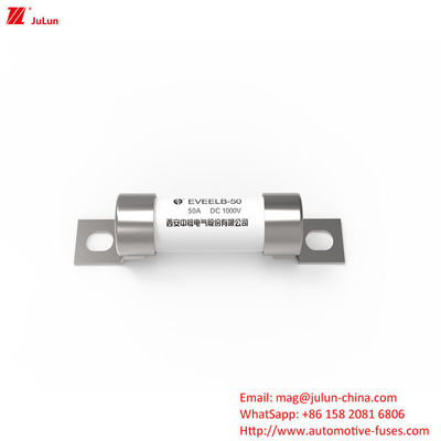 볼트 스크루 보호 EV 휴대용 EV 충전기 피지 휴대용 충전 솔루션 DC1000V 10A-50A