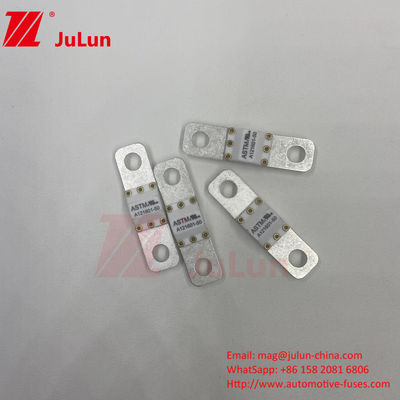 A121601-50A ASTM 125VDC 전기 차량 전기 보호 단말기 피지 타입