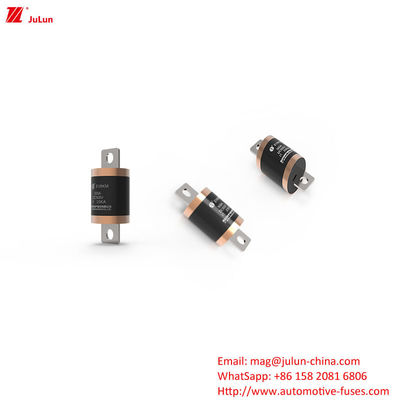 EV8 DC500V 150A 600A 700A 750A 800A 900A 1000A 도로용 차량용 안전 장치