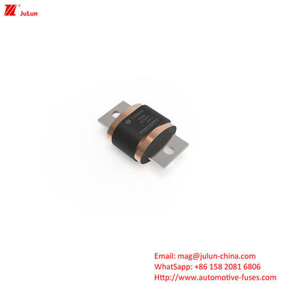 EV8-MKM 450A-1000A DC500V 전기차 단말기 위한 박스 안전 피지