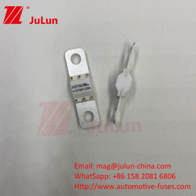 ASTM 퓨즈 121601 80A 125VDC 전기 자동차 퓨즈