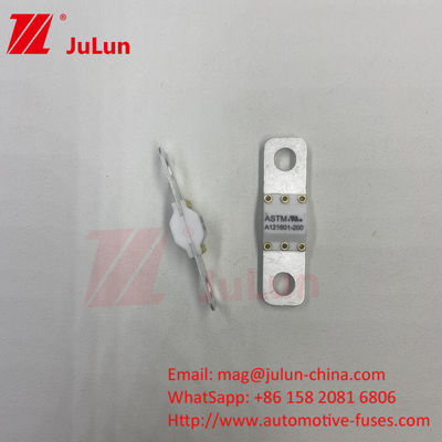 125VDC 150A ASTM 볼트 스크루 DC 전기 자동차 충전 가정용 EV 전기 자동차 충전기 안전 장치 EV121601