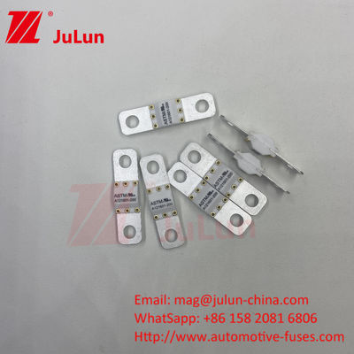 ASTM 300A 125VDC 볼트 스크루 EV 퓨즈 중간 퓨징