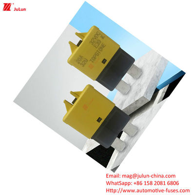 자동차 회로 보호 피지 홀더 플라스틱 / 나일론 EU UL 표준 30A-500A 해상 구리 접촉 회로 차단기