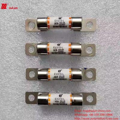 EV315L 3E 자동차 안전 장치 중간 10A-60A DC500V 전기 차량 보호