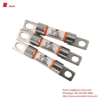 DC500V 전기 차량 EV 피지 보호 전기 차량 모델 EV315-L 3E 10A-60A
