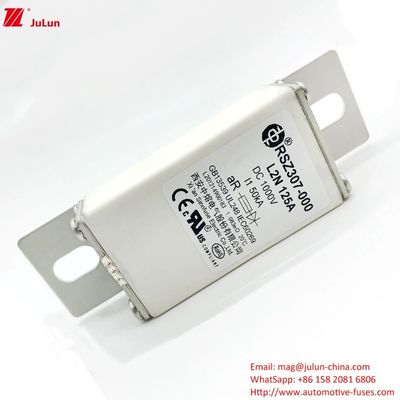 100A 볼트 ON EV DC 급 충전기 / 전기 차량 급 충전 RSZ307-000-L2N 피지