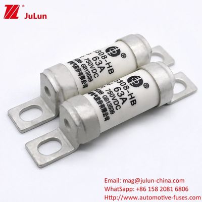 EV 충전자 어댑터 RS308-HB4G 시리즈 32A 63A 100A 자동차용 미니 퓨즈